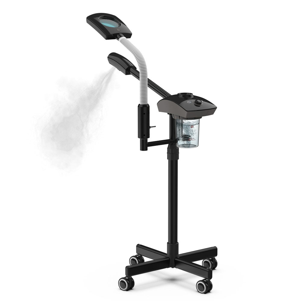 Hot Facial Steamer Warm Mist H - đánh giá và giá Face Steamer