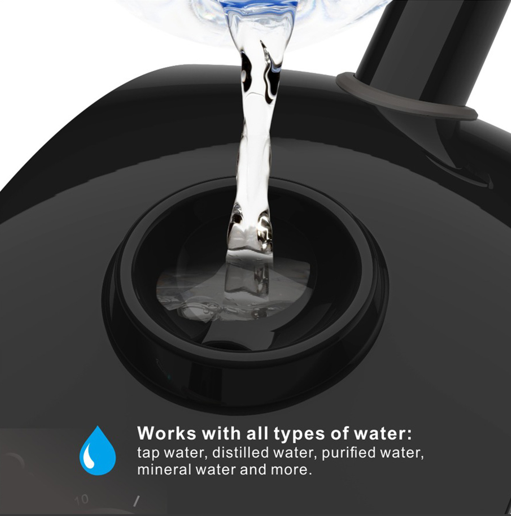 Hot Facial Steamer Warm Mist H - đánh giá và giá Face Steamer